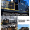 預訂 TOMIX 2262 JR DD200-700形ディーゼル機関車 2 預訂 TOMIX 2262 JR DD200-700形ディーゼル機関車