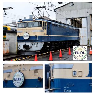 預訂 Tomix 7116 JR EF65-500形電気機関車（501号機）