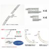 TOMIX 1098 端数PCレールS18.5・S33-PC(F)(各4本セット) 補款連接 3 TOMIX 1098 端数PCレールS18.5・S33-PC(F)(各4本セット)