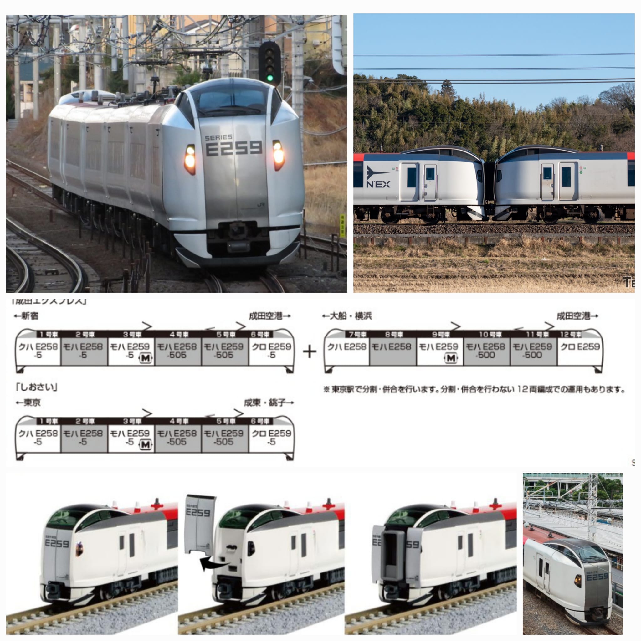 <新品預訂> KATO E259系「成田エEXPRESS」(新色。無N'EX標誌) KATO 10-2170 10-1934 1 KATO E259系「成田エEXPRESS」(新色。無N'EX標誌) KATO 10-2170 10-1934