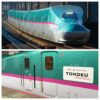 TOMIX 97984 98498 JR E5系東北・北海道新幹線（隼號・TOHOKU Relax） 特別企画品