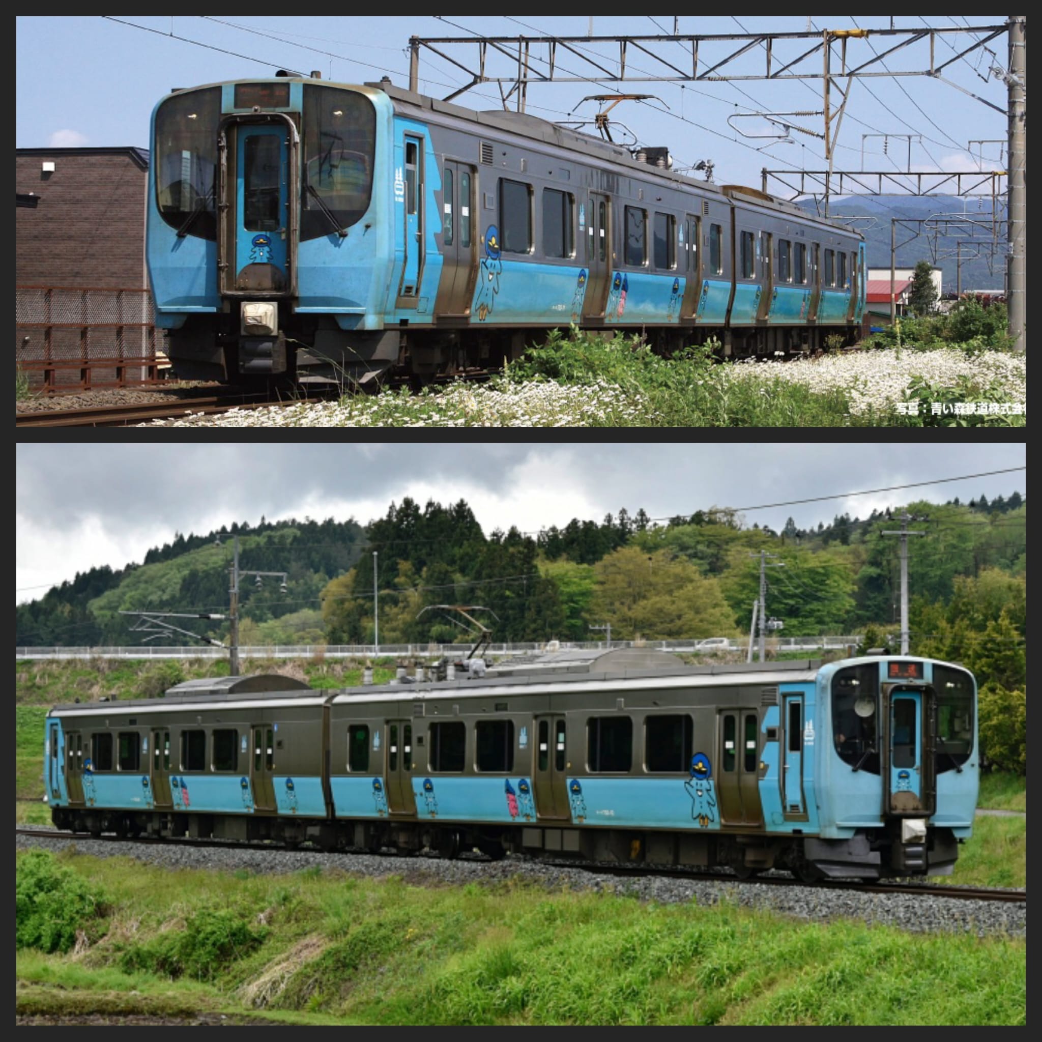 <新品預訂>KATO 10-2183 青い森鉄道 青い森703系Molly 2両 1 KATO 10-2183 青い森鉄道 青い森703系Molly 2両