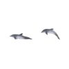 KATO 24-715 1/150 海豚 3 KATO 24-715 1/150 海豚